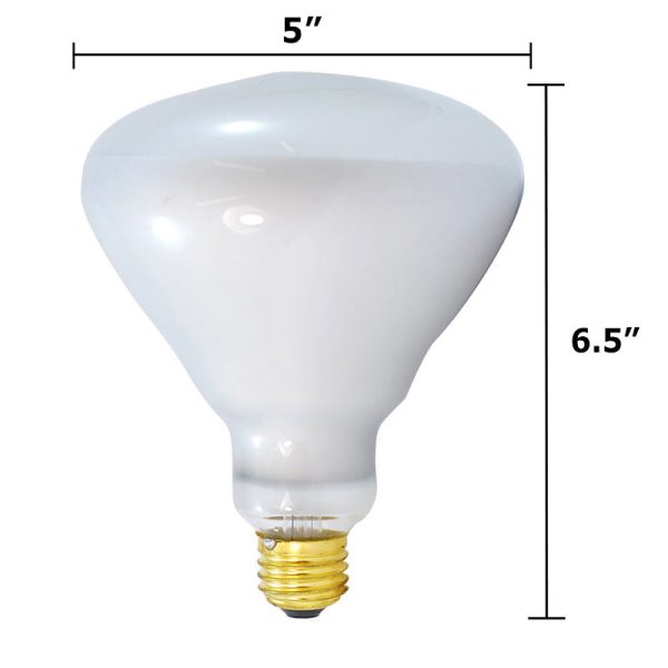 PLATINUM 120w 130v BR40 Lamp Flood 60 degree incandescent floodlight bulb Sale - Image 2